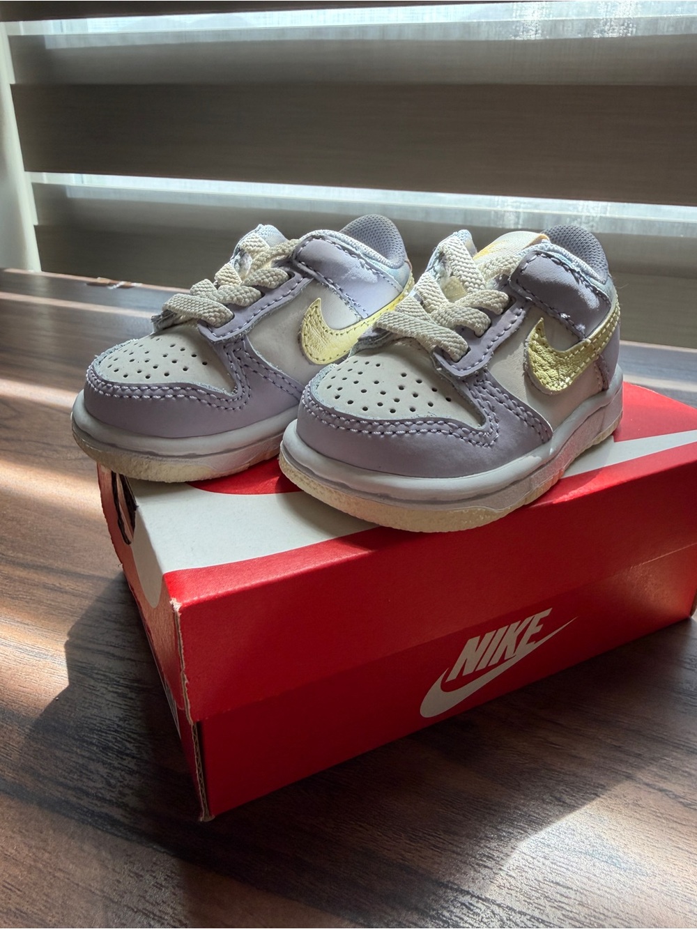 Nike Dunk Kids Low-Top Sneakers/ Box 2C